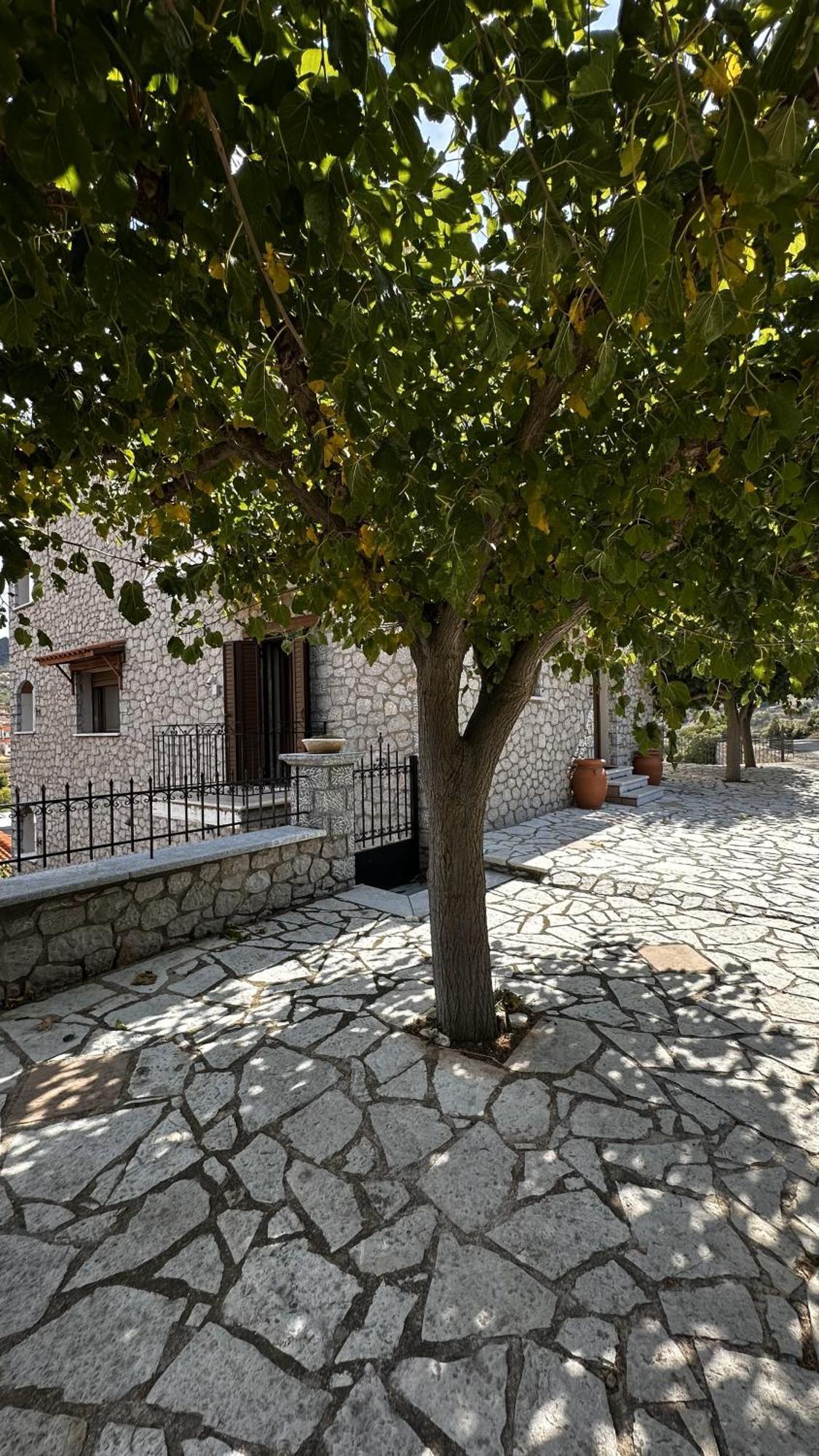 Apartamento Το Πέτρινο Kiriákion Exterior foto